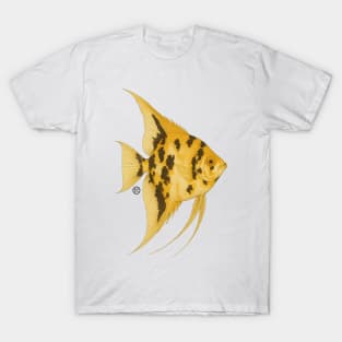 Angelfish Golden Marble - Vintage Japanese Style - Angel Fish T-Shirt